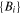 $\left\{{B}_{i}\right\}$
