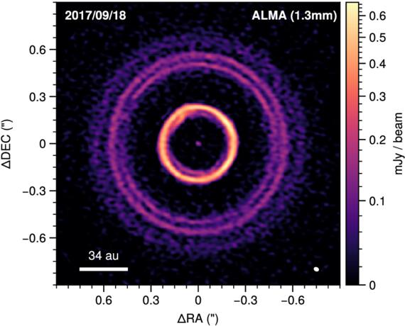 Dynamical Analysis of the HD 169142 Planet-forming Disk: Twelve