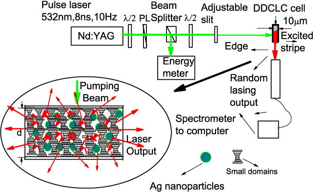 Random Lasing Cells Low threshold and coherent random lasing from dye-doped cholesteric ...