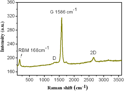A 66 fs highly stable single wall carbon nanotube mode locked fiber ...