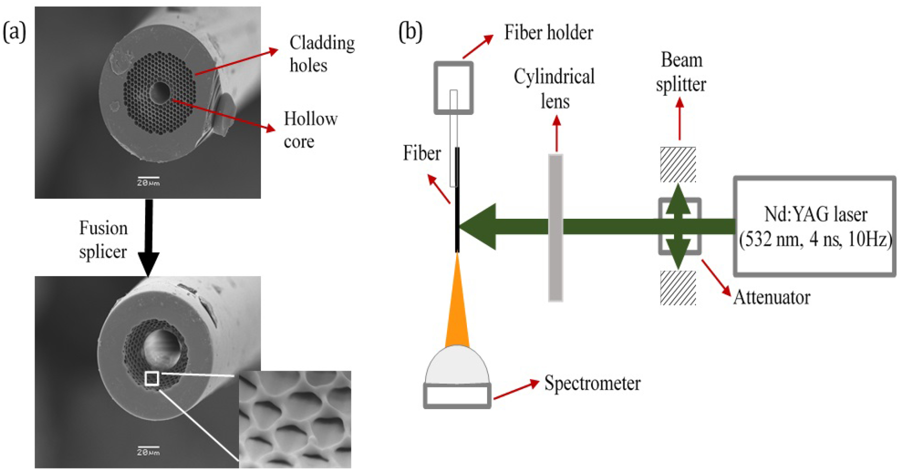 Properties of Random Lasers in a hollow core photonic crystal fiber ...
