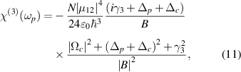 Equation (11)