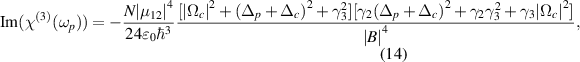 Equation (14)