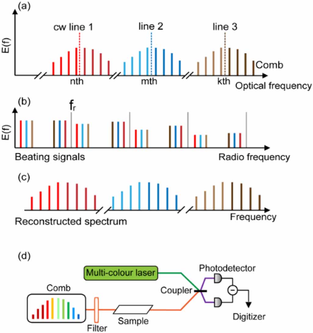 Frequency comb interference spectroscopy using a fiber laser comb and a ...