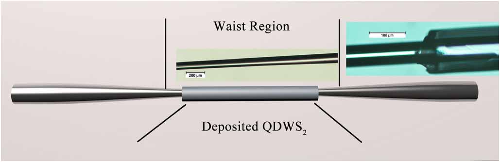 Polarization domain wall solitons in a quasi-isotropic fibre