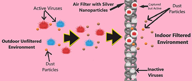 Antibacterial and anti-viral effects of silver nanoparticles in ...