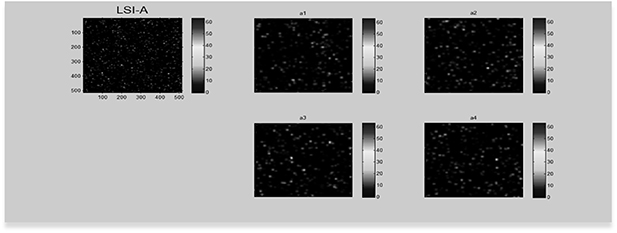 Laser speckle image velocimetry by Fast Fourier Transform technique ...
