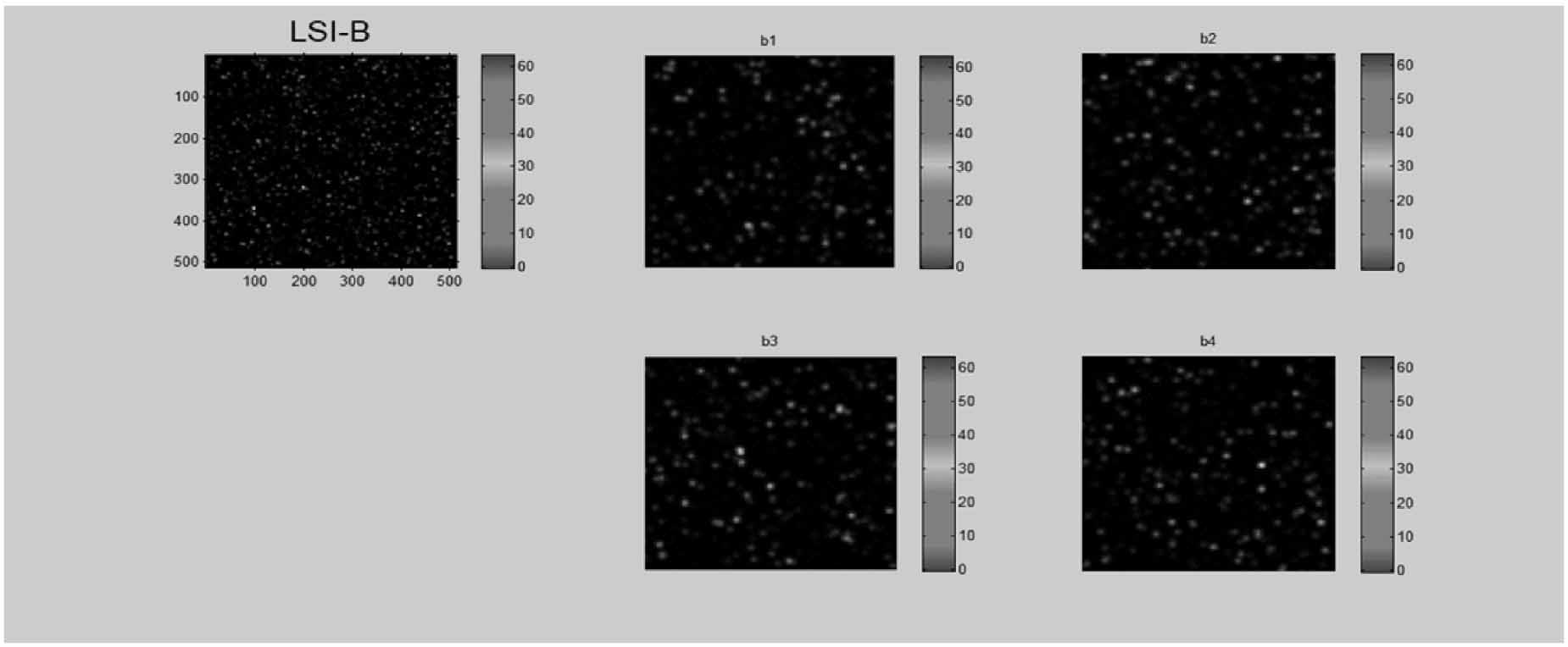 Laser speckle image velocimetry by Fast Fourier Transform technique ...