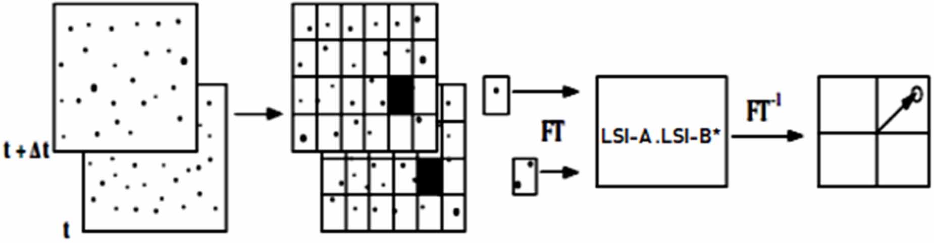 Laser speckle image velocimetry by Fast Fourier Transform technique ...