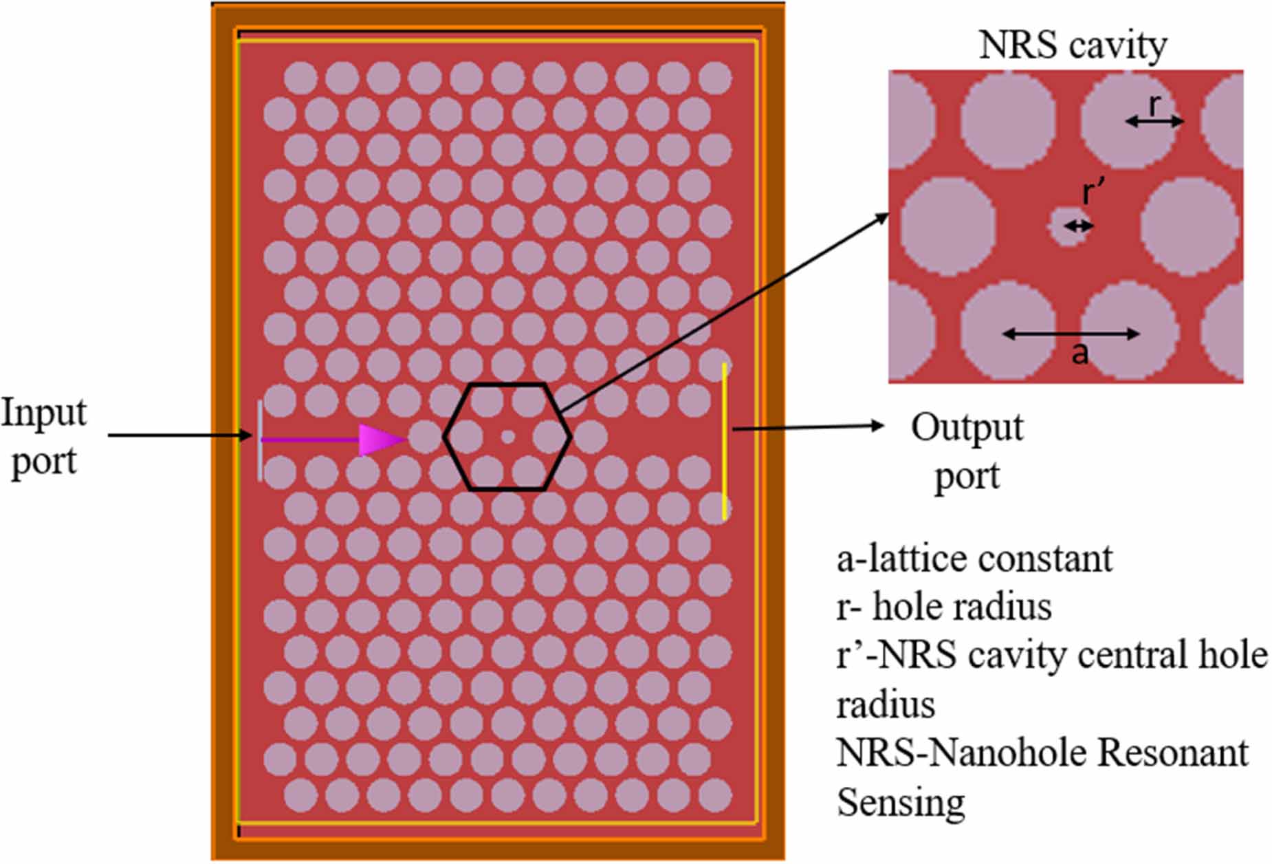 Design and analysis of a photonic crystal-based biosensor for the ...
