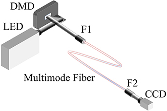 Flexible single multimode fiber imaging using white LED - IOPscience