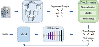 Research on fine-grained visual classification based on salient object ...