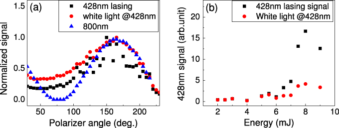 Self-seeded forward lasing action from a femtosecond Ti:sapphire laser ...