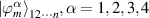 ${\left| {\varphi _m^\alpha } \right\rangle _{12 \cdots n}},\alpha = 1,2,3,4$