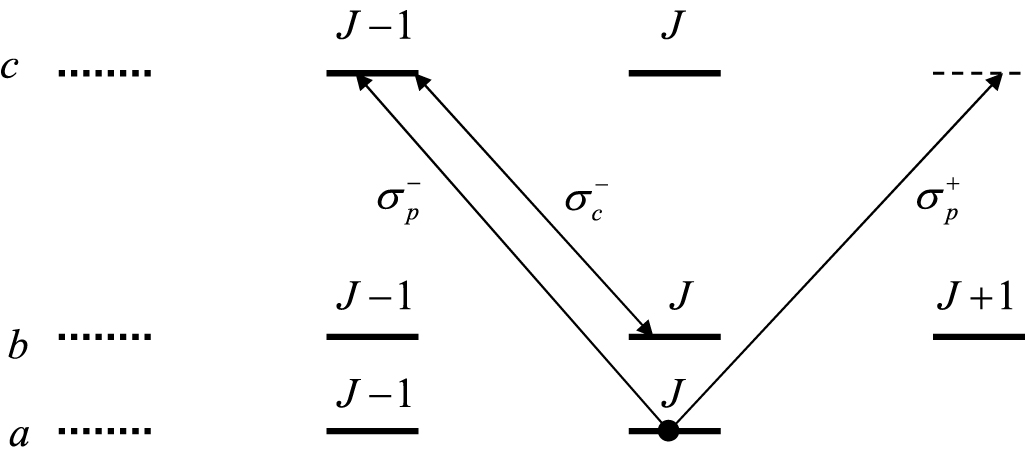 On the polarization rotation by means of electromagnetically induced ...