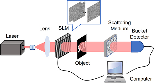 Computational ghost imaging through a dynamic scattering medium based ...