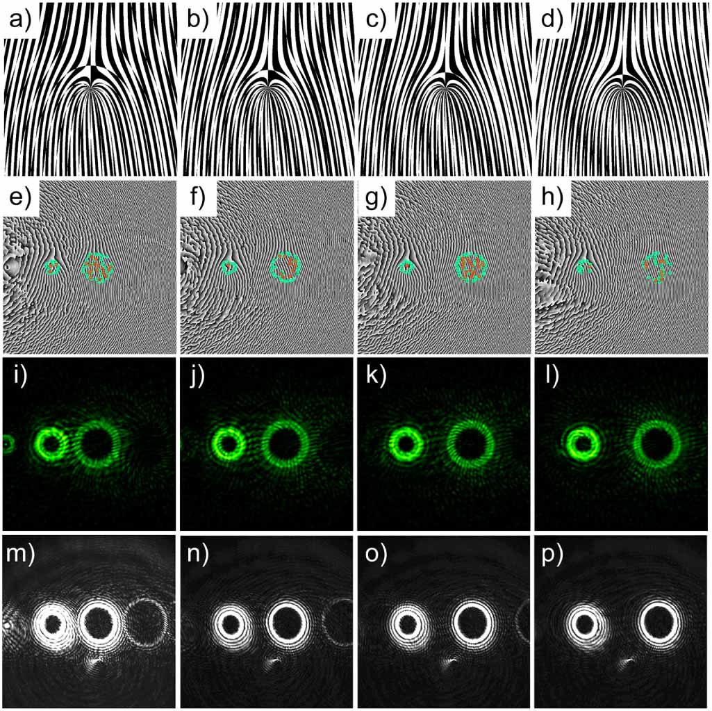 Vortex Lasing Configurable vortex laser beams for optical manipulations of ...