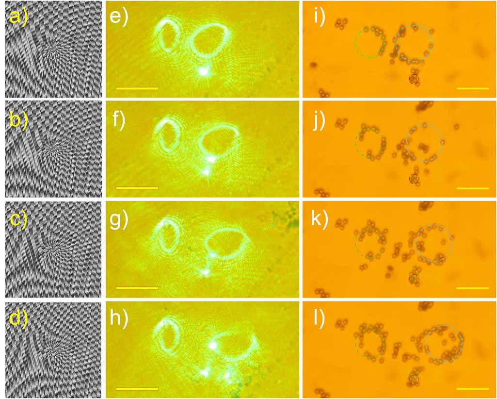Vortex Lasing Configurable vortex laser beams for optical manipulations of ...