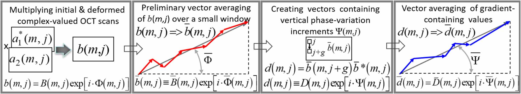 Vector method of strain estimation in OCT-elastography with adaptive ...