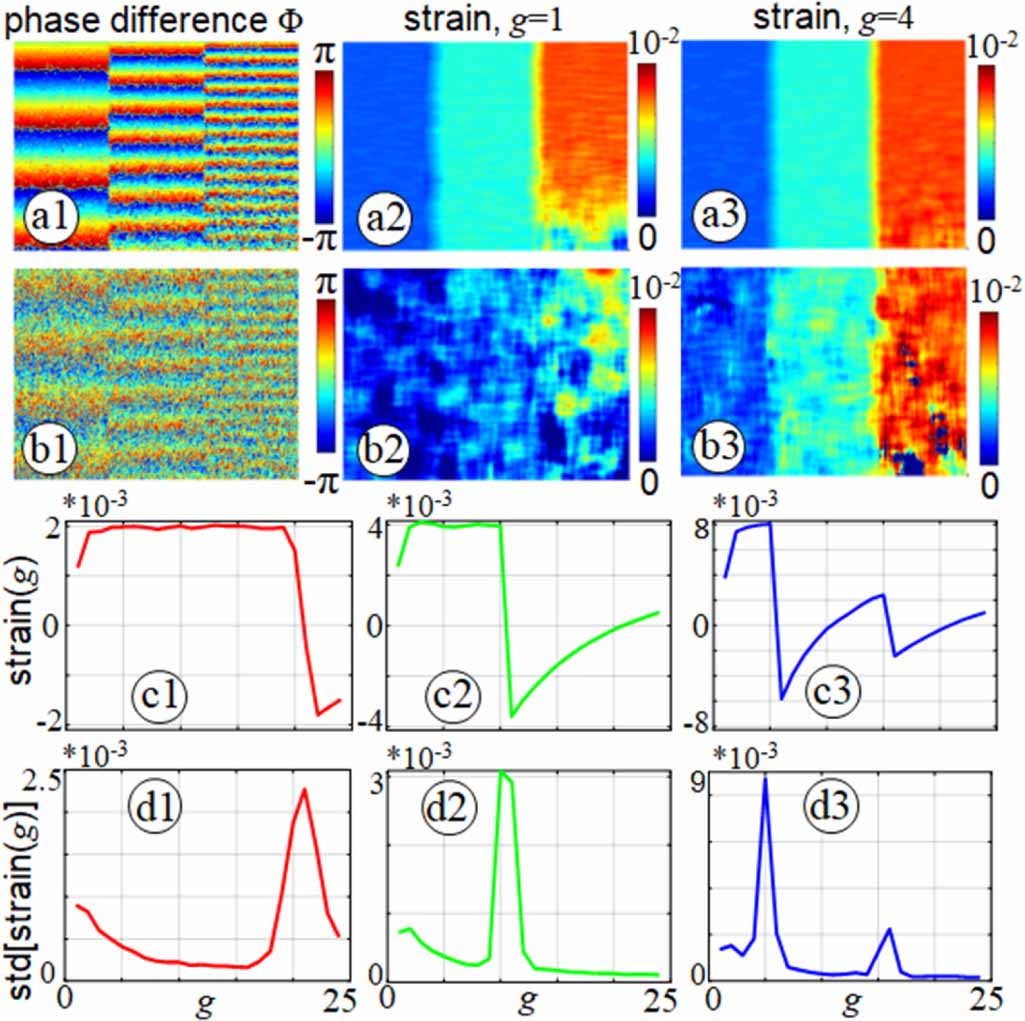 Vector method of strain estimation in OCT-elastography with adaptive ...
