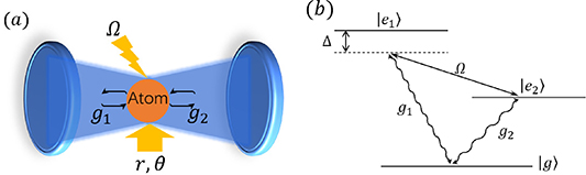 Dynamics and enhancement of nonlinear coupling via squeezing a cavity ...