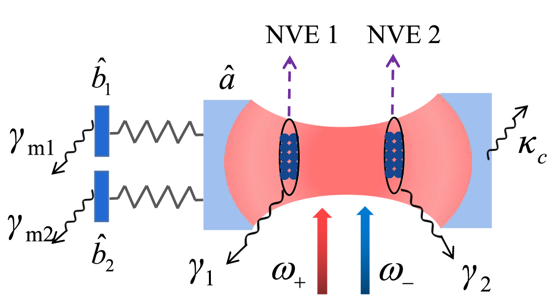 Enhanced mechanical entanglement in a hybrid optomechanical system via ...