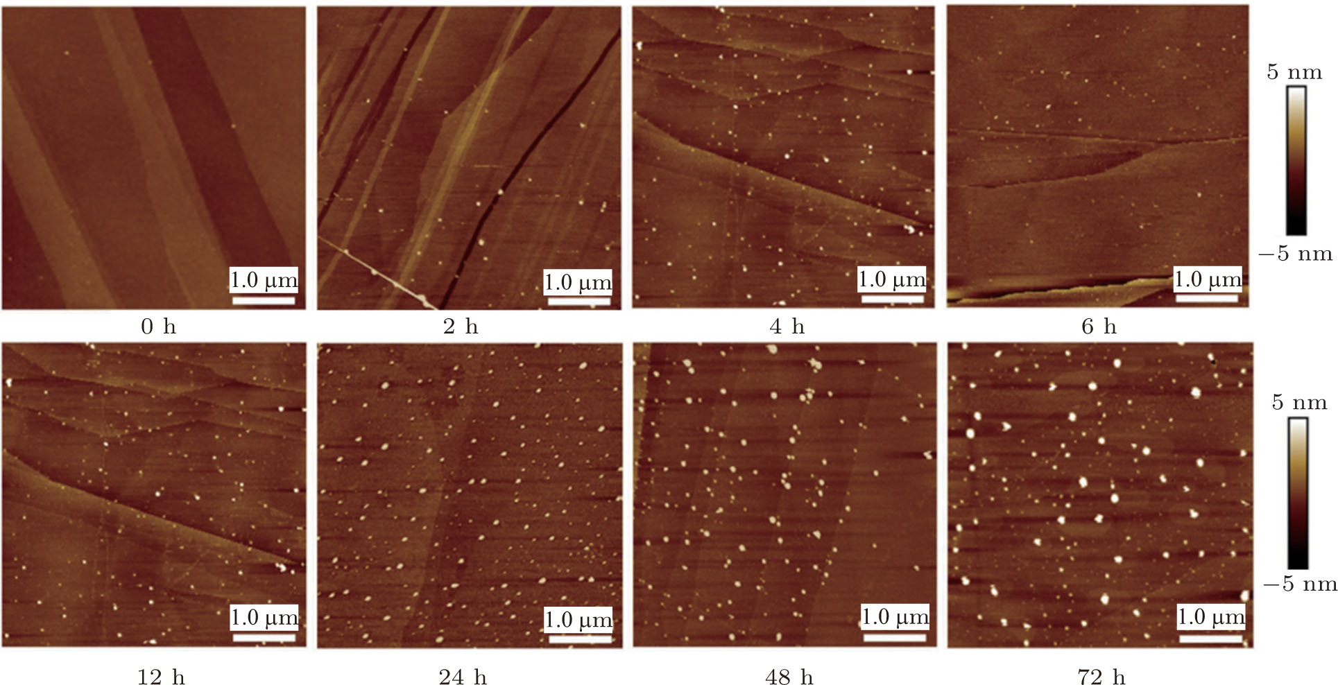 その他 nn Interfacial nanobubbles produced by long-time preserved cold