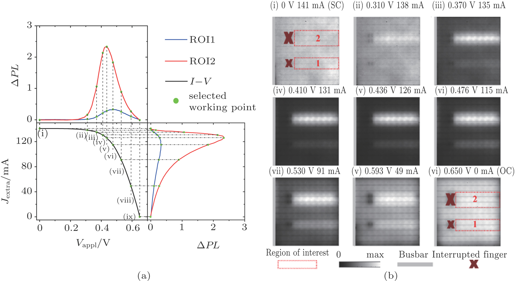 Detection of finger interruptions in silicon solar cells using ...