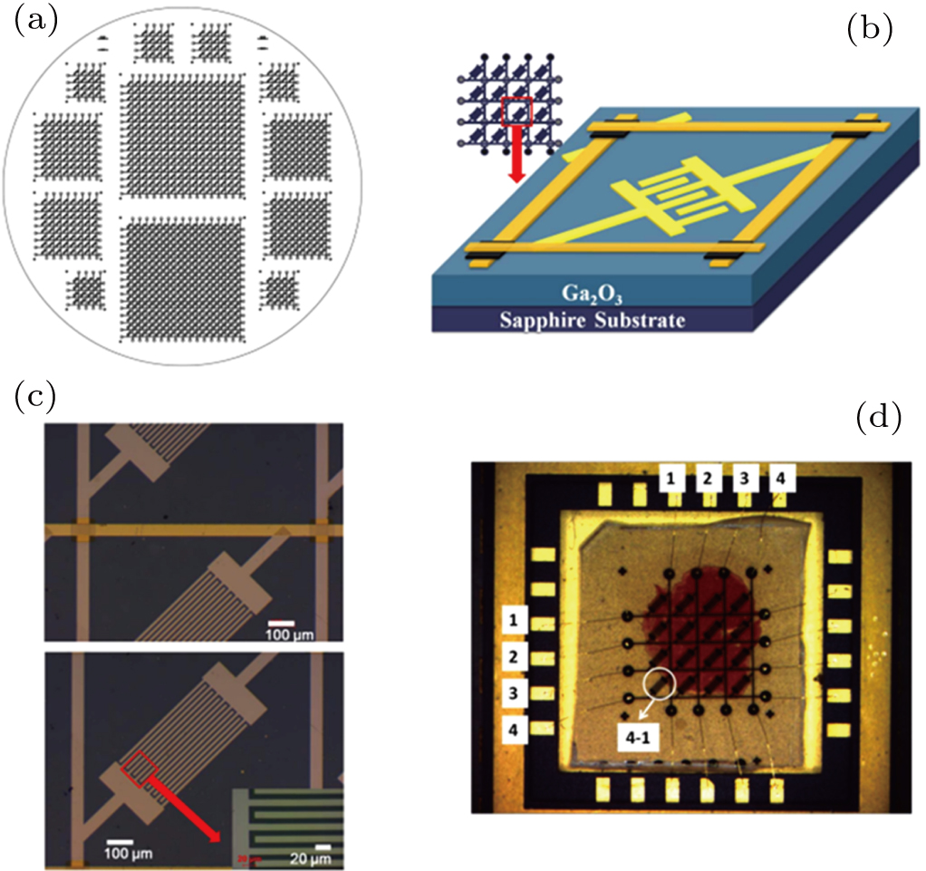 Review of deep ultraviolet photodetector based on gallium oxide ...