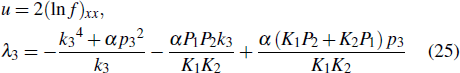 Equation (25)