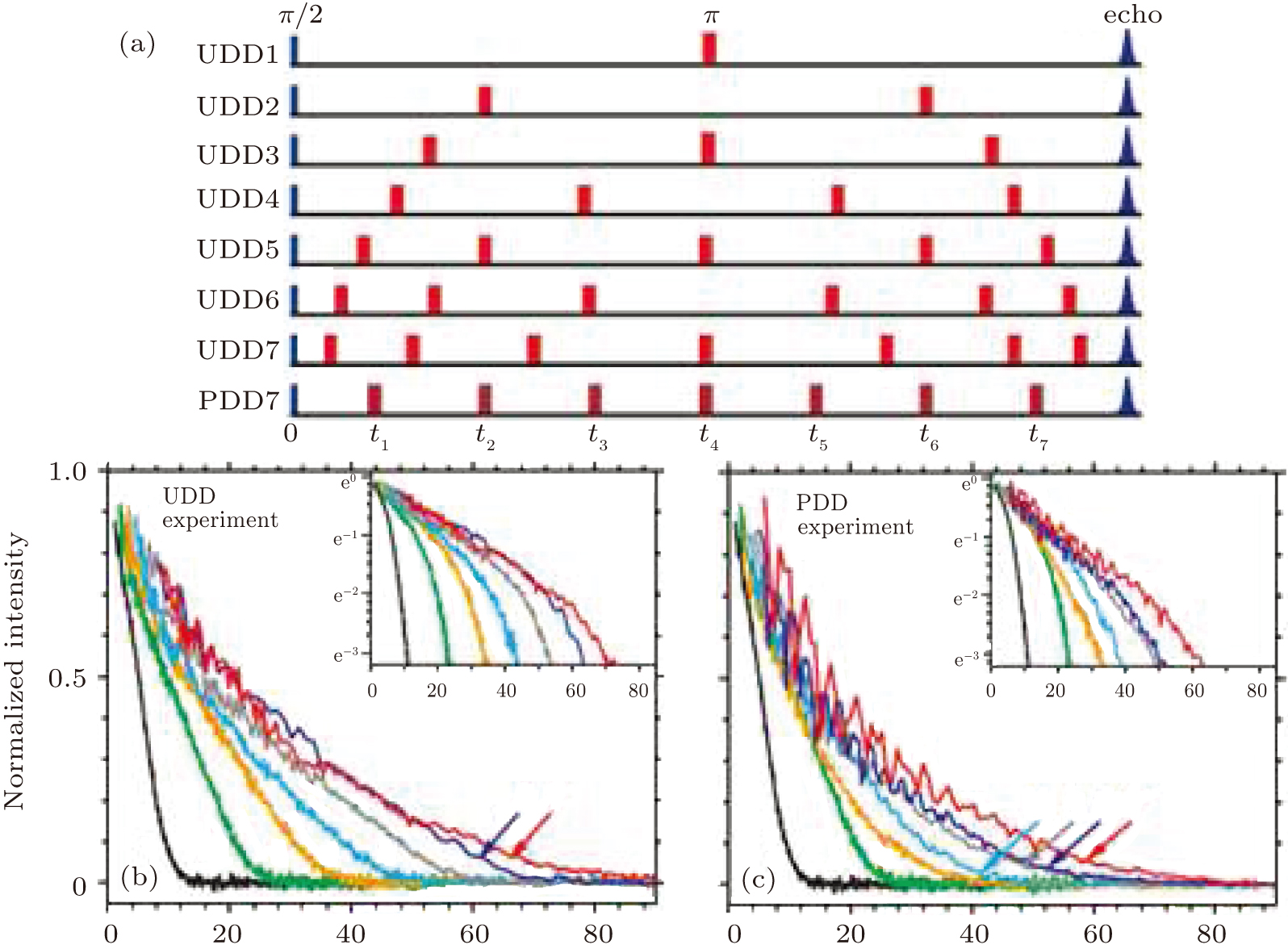 ⑤7-b/7-c/8-iセット Topological prethermal strong zero modes on superconducting