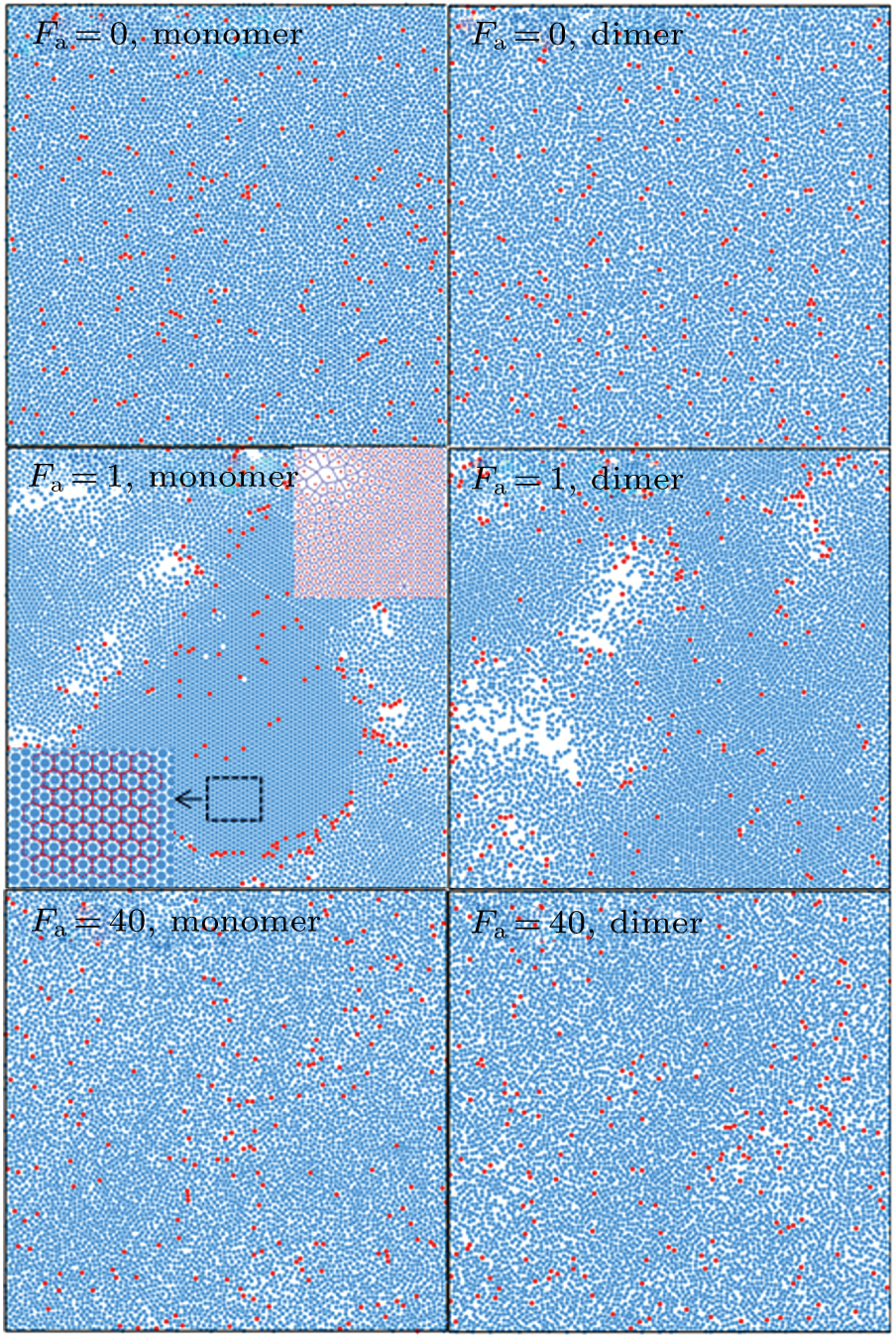 Phase separation and super diffusion of binary mixtures of active and ...