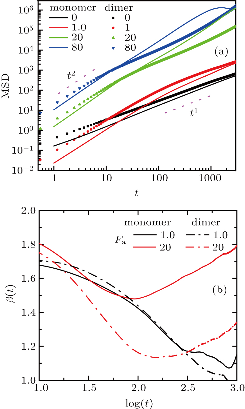 Phase separation and super diffusion of binary mixtures of active and ...