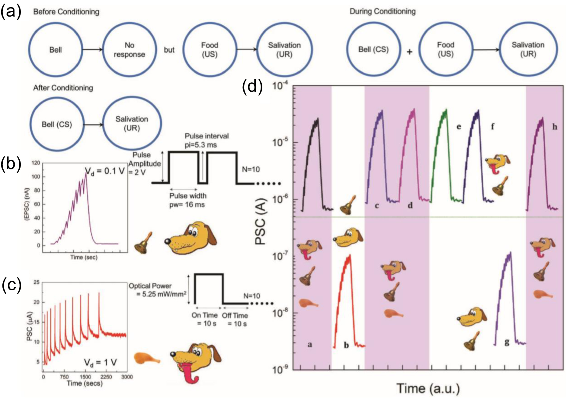 Recent progress in optoelectronic neuromorphic devices - IOPscience