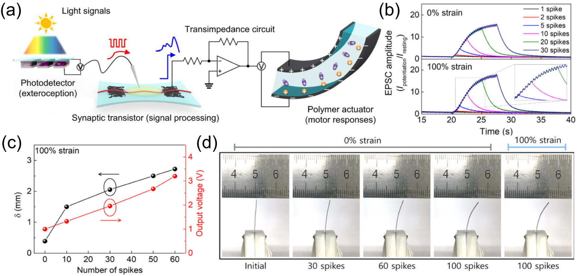 Recent progress in optoelectronic neuromorphic devices - IOPscience