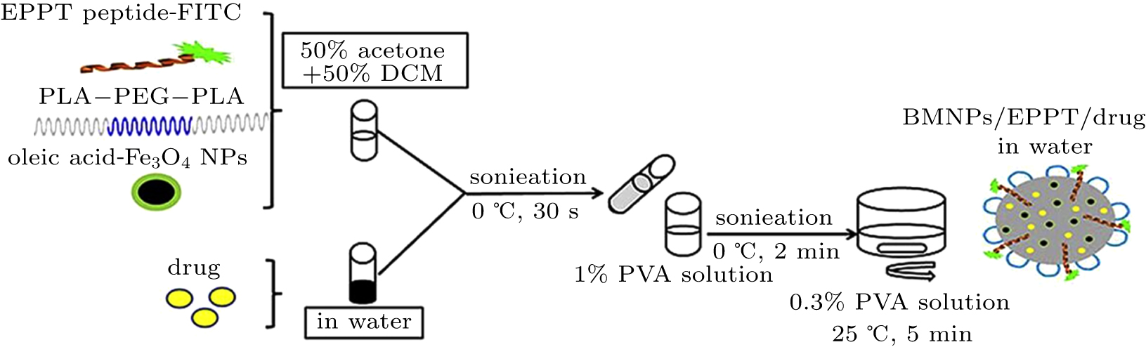 Functionalized magnetic nanoparticles for drug delivery in tumor ...
