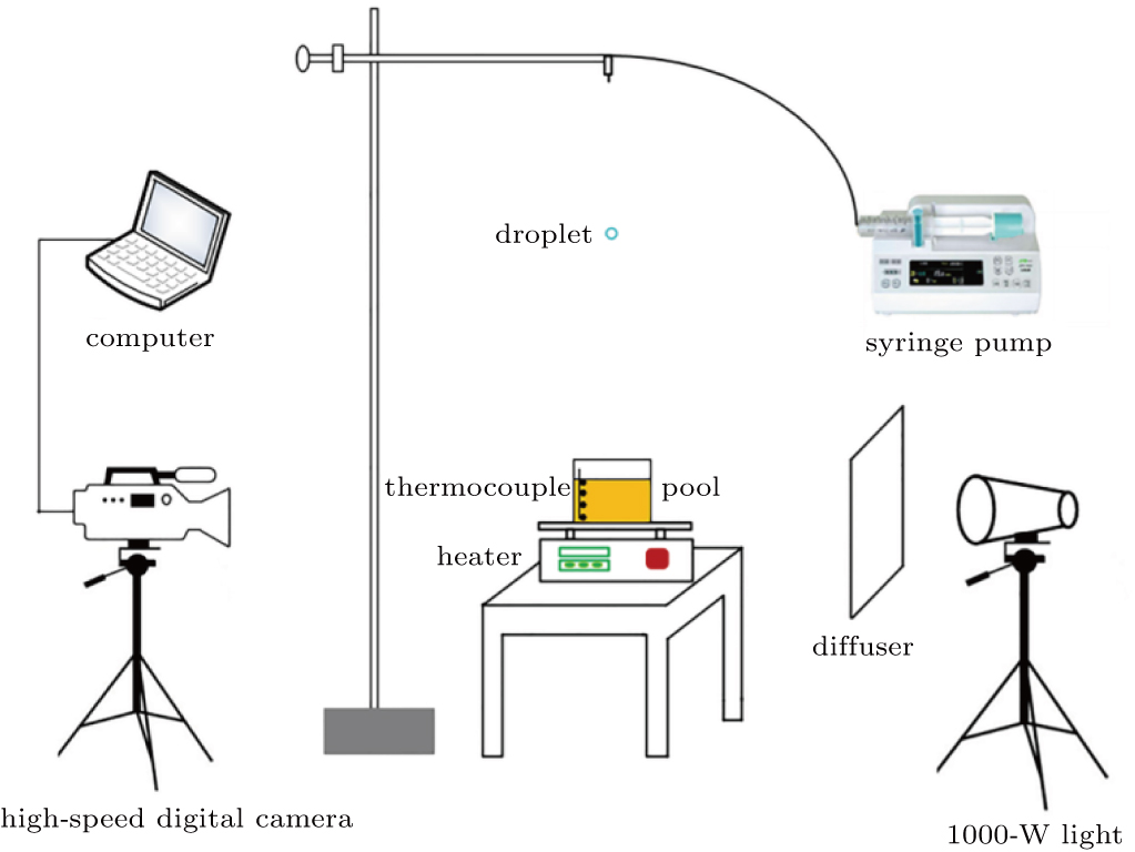 Effect of the liquid temperature on the interaction behavior for single