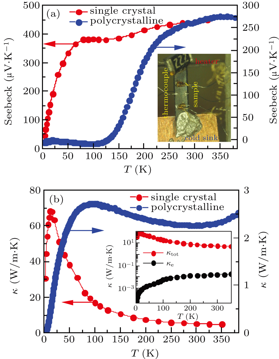 HUNDRED LINE -最終防衛学園-超探偵事件簿レインコード➕早期購入特典 Sliding van der Waals polytypes | Nature Reviews Physics