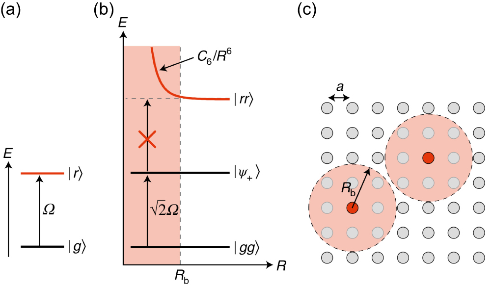 Review of quantum simulation based on Rydberg many-body system - IOPscience