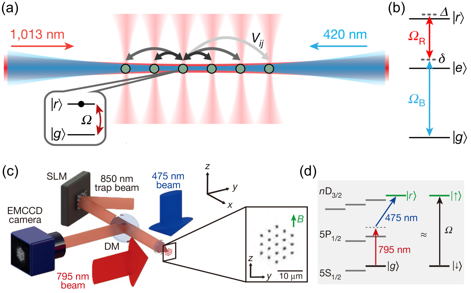 Review of quantum simulation based on Rydberg many-body system - IOPscience