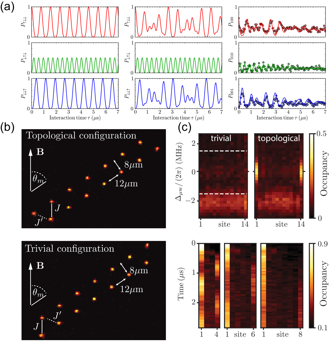 Review of quantum simulation based on Rydberg many-body system - IOPscience