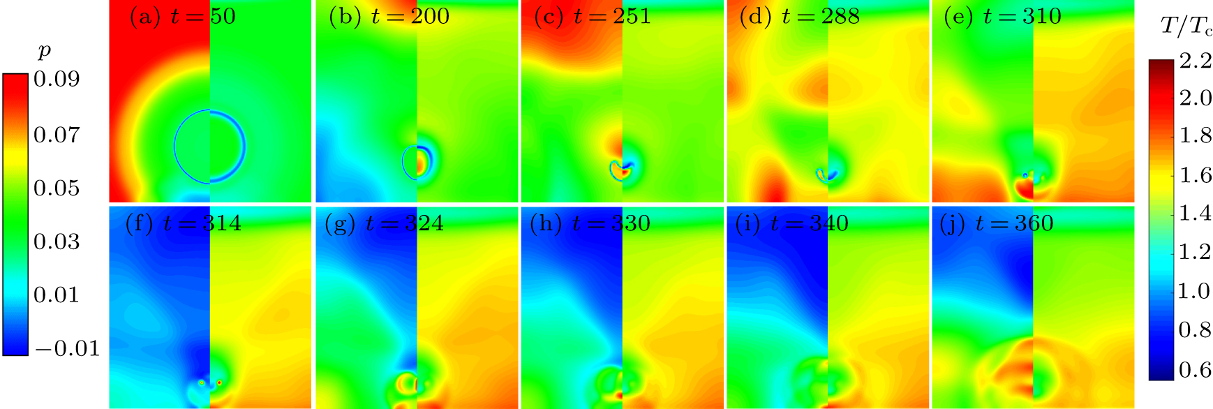 Effect of non-condensable gas on a collapsing cavitation bubble near ...