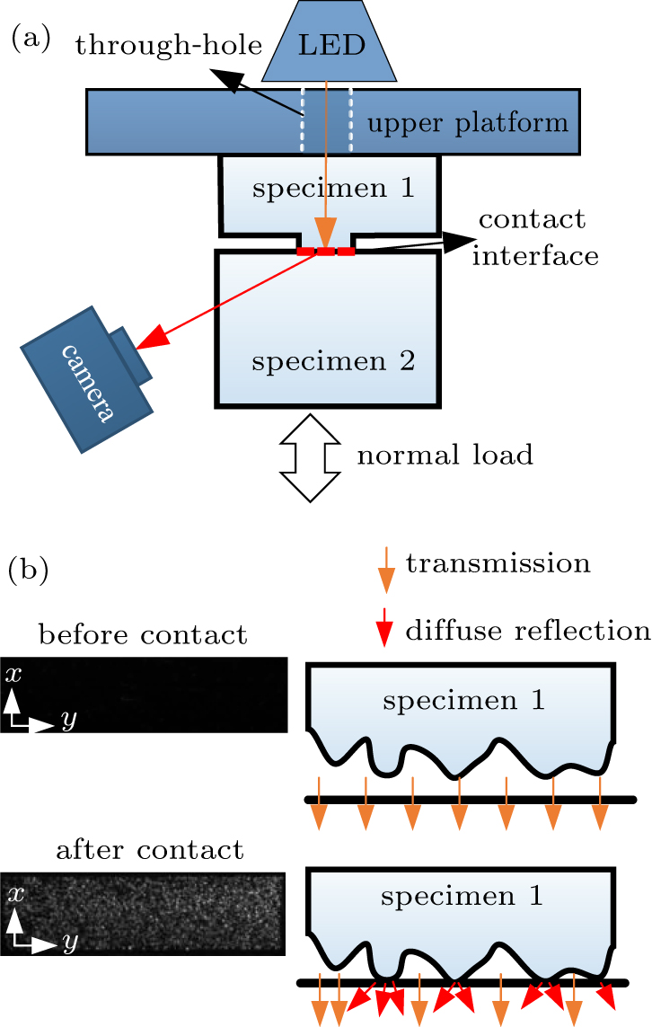 Experimental analysis of interface contact behavior using a novel image ...