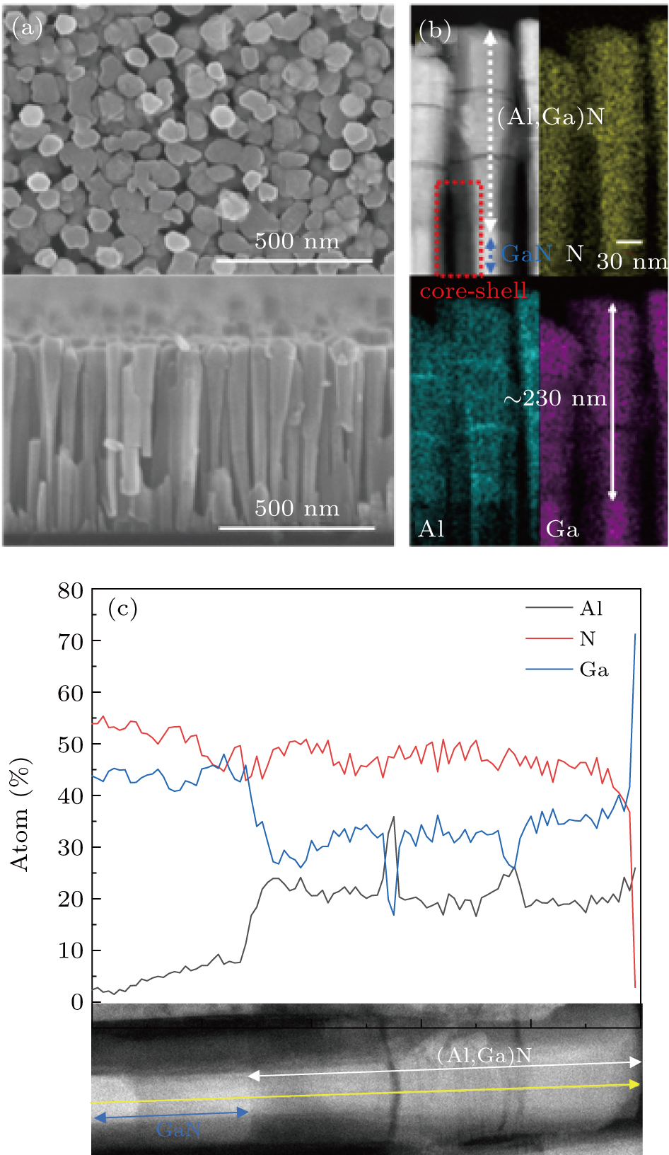 Dual-wavelength ultraviolet photodetector based on vertical (Al,Ga)N ...