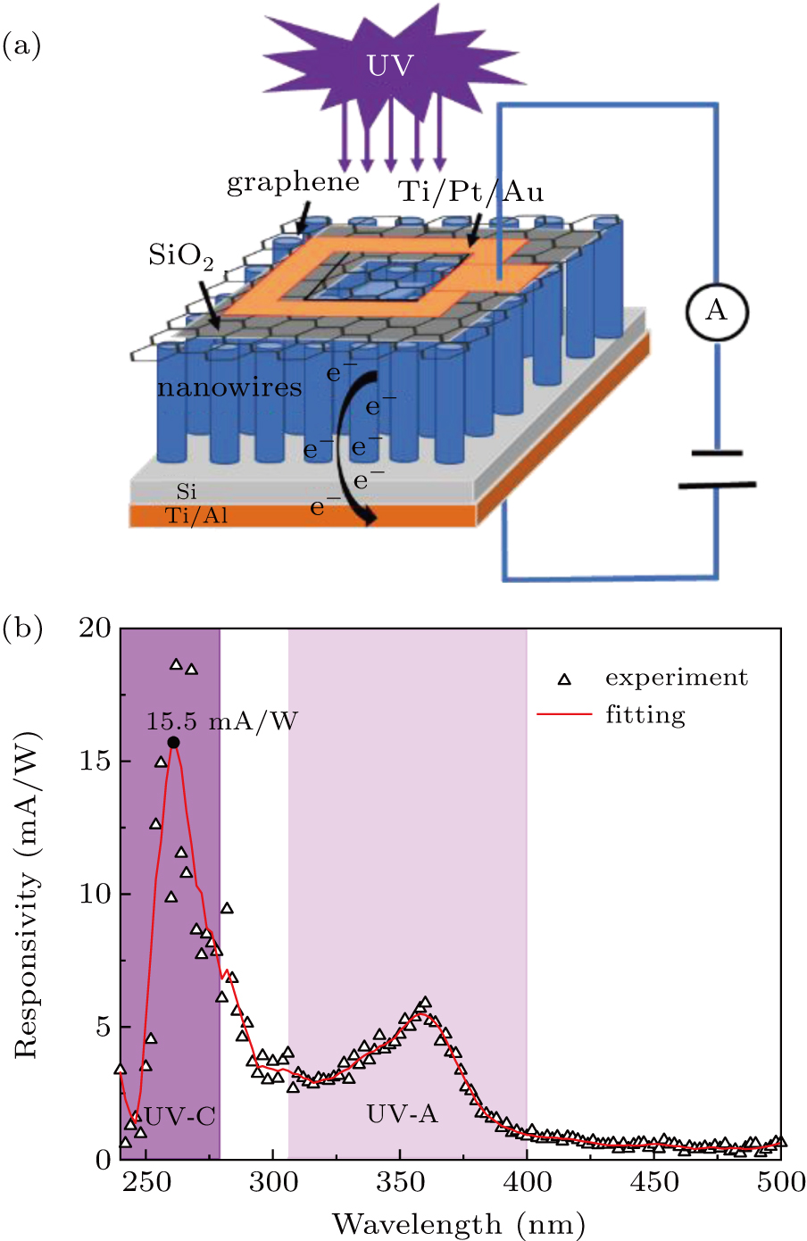 Dual-wavelength ultraviolet photodetector based on vertical (Al,Ga)N ...