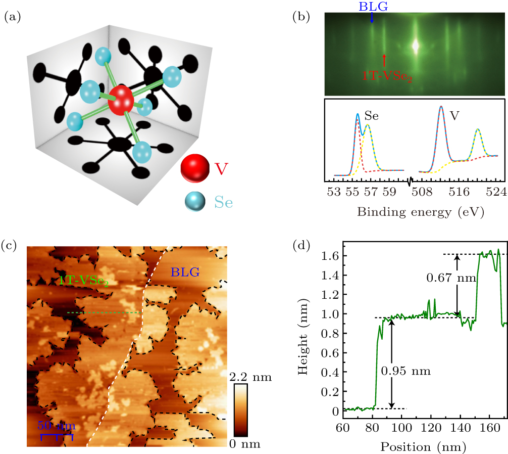 専用page Observation of multiple charge density wave phases in