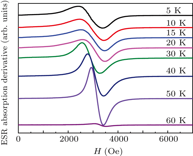 Terahertz magnetic resonance in MnCr2O4 under high magnetic field
