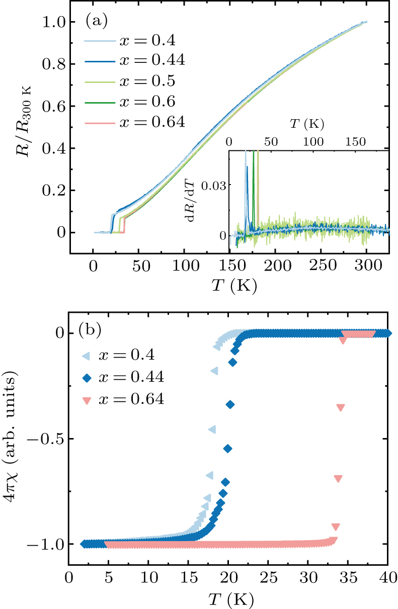 Growth and characterization of superconducting Ca1–x Na x