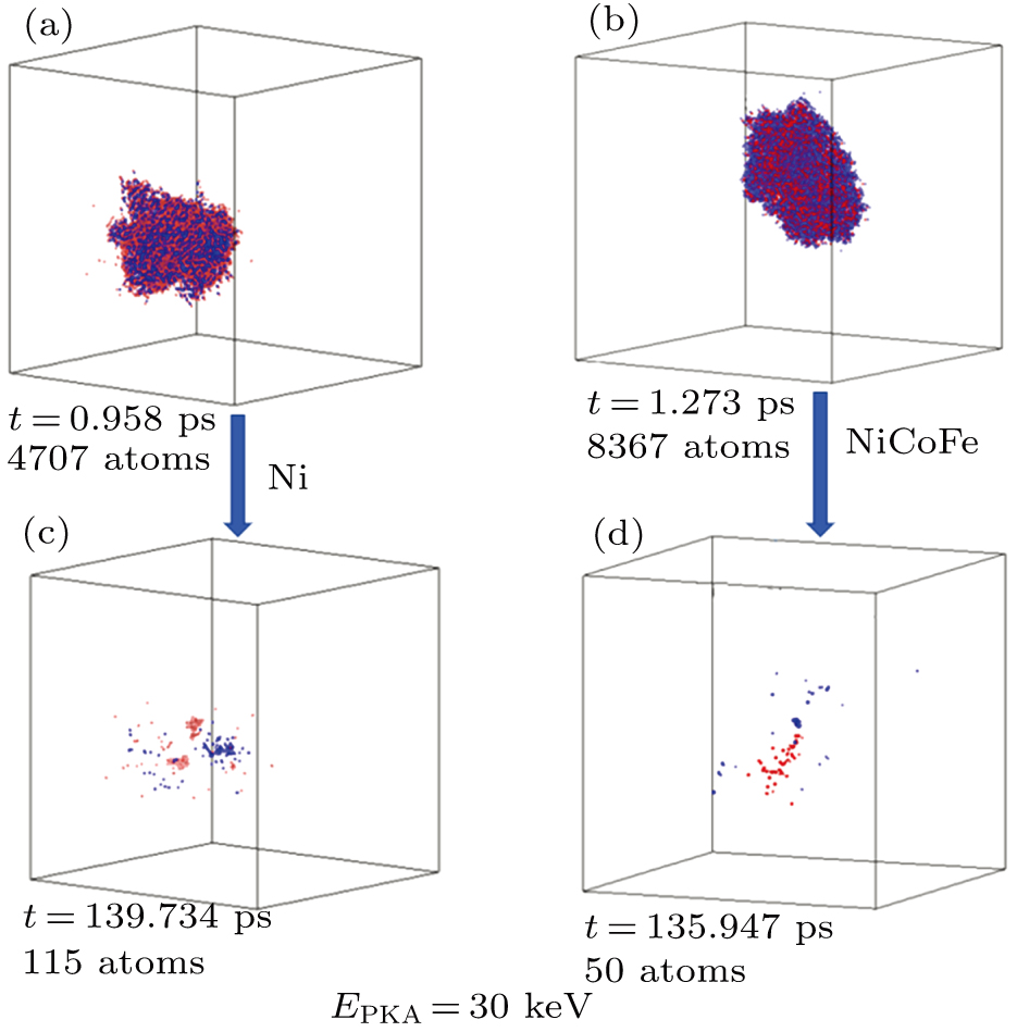Comparison of formation and evolution of radiation-induced defects in ...