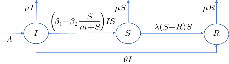 Dynamics and near-optimal control in a stochastic rumor propagation ...